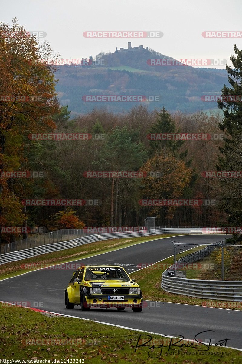 Bild #11423242 - Touristenfahrten Nürburgring Nordschleife (08.11.2020)