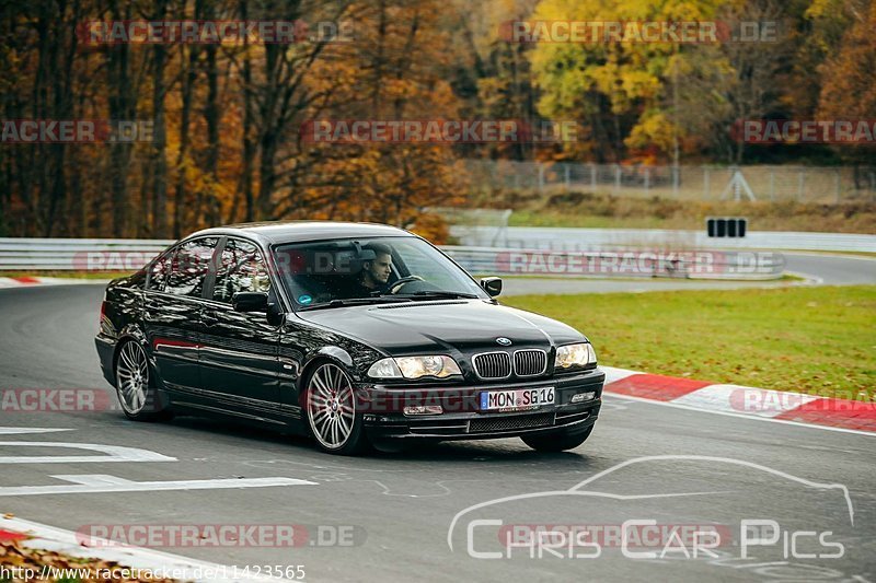 Bild #11423565 - Touristenfahrten Nürburgring Nordschleife (08.11.2020)