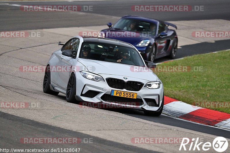 Bild #11428047 - Touristenfahrten Nürburgring Nordschleife (08.11.2020)