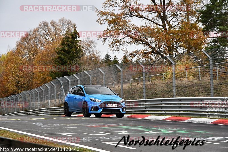 Bild #11428443 - Touristenfahrten Nürburgring Nordschleife (08.11.2020)