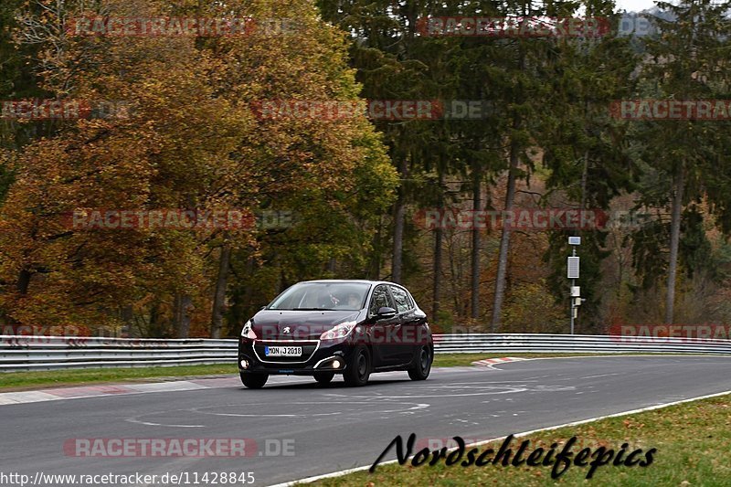 Bild #11428845 - Touristenfahrten Nürburgring Nordschleife (08.11.2020)