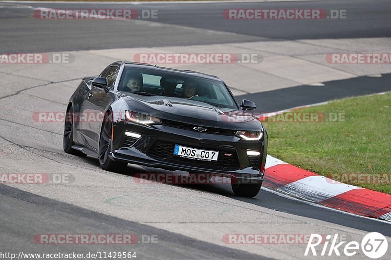 Bild #11429564 - Touristenfahrten Nürburgring Nordschleife (08.11.2020)