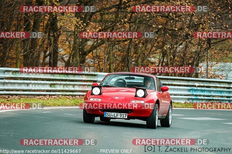 Bild #11429667 - Touristenfahrten Nürburgring Nordschleife (08.11.2020)