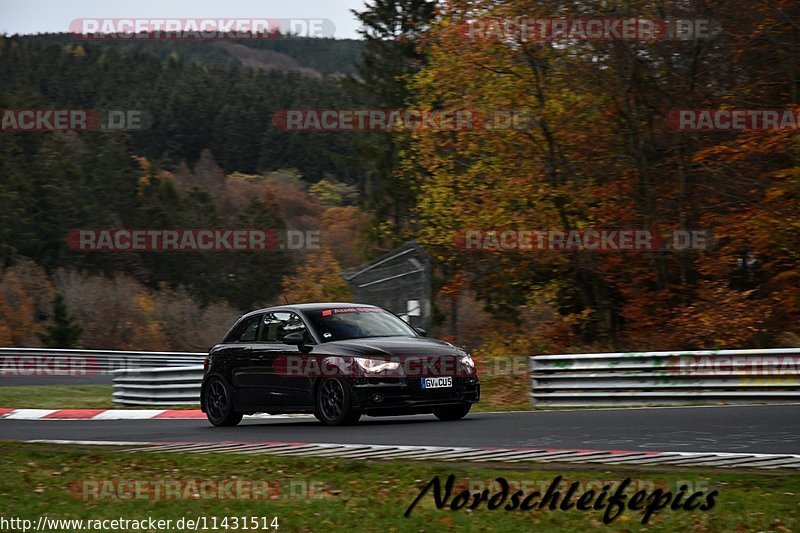 Bild #11431514 - Touristenfahrten Nürburgring Nordschleife (08.11.2020)