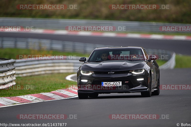 Bild #11437877 - Touristenfahrten Nürburgring Nordschleife (08.11.2020)