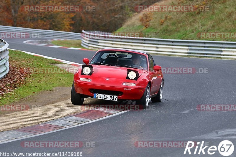 Bild #11439188 - Touristenfahrten Nürburgring Nordschleife (08.11.2020)