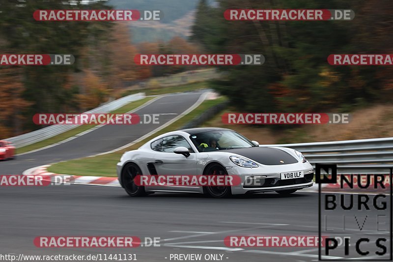 Bild #11441131 - Touristenfahrten Nürburgring Nordschleife (08.11.2020)