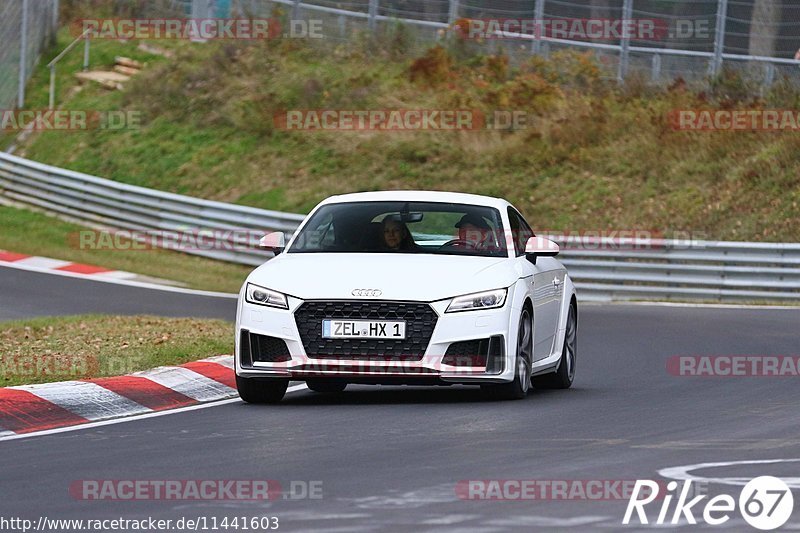 Bild #11441603 - Touristenfahrten Nürburgring Nordschleife (08.11.2020)