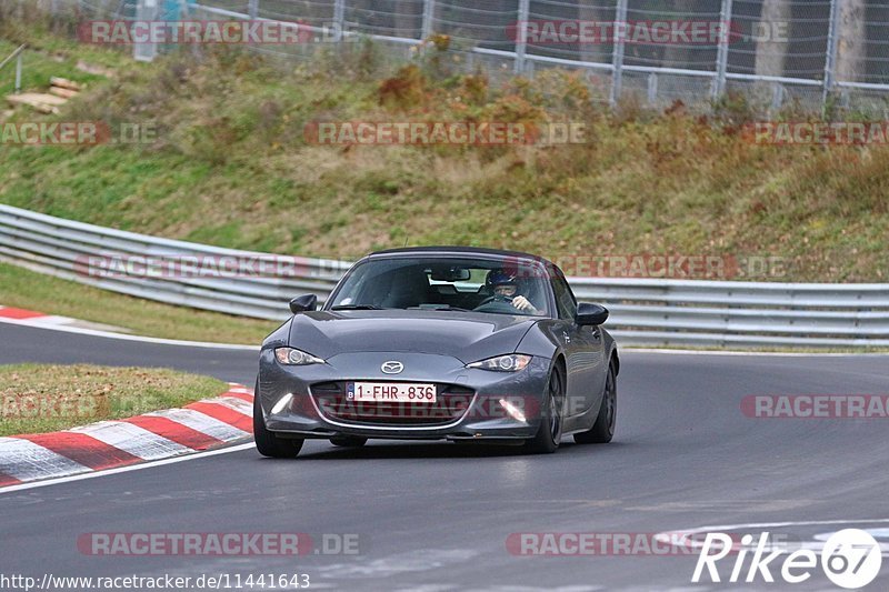 Bild #11441643 - Touristenfahrten Nürburgring Nordschleife (08.11.2020)