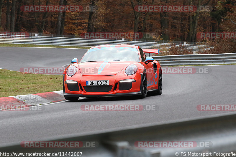 Bild #11442007 - Touristenfahrten Nürburgring Nordschleife (08.11.2020)