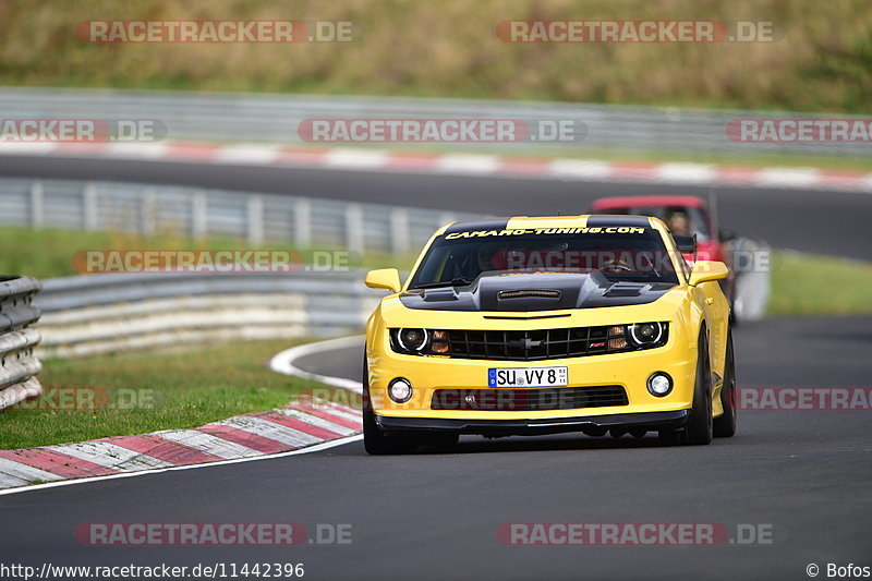 Bild #11442396 - Touristenfahrten Nürburgring Nordschleife (08.11.2020)