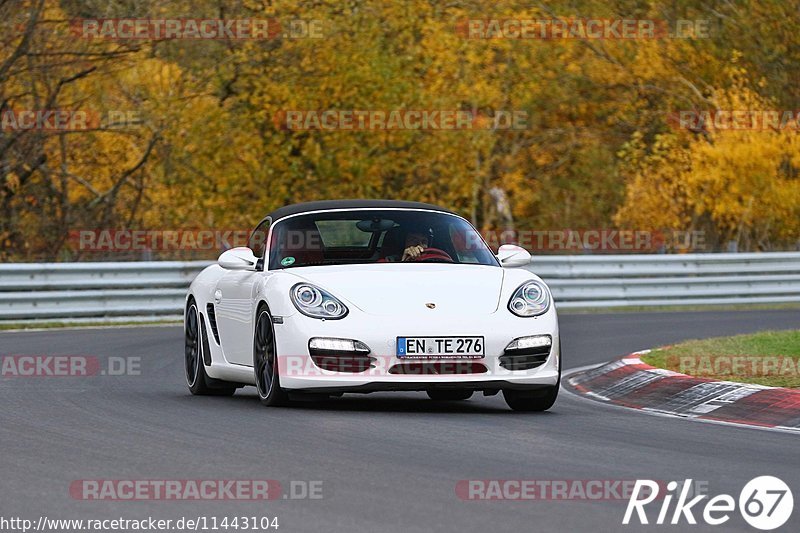 Bild #11443104 - Touristenfahrten Nürburgring Nordschleife (08.11.2020)