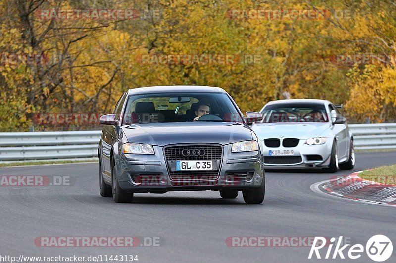 Bild #11443134 - Touristenfahrten Nürburgring Nordschleife (08.11.2020)