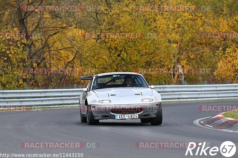 Bild #11443150 - Touristenfahrten Nürburgring Nordschleife (08.11.2020)