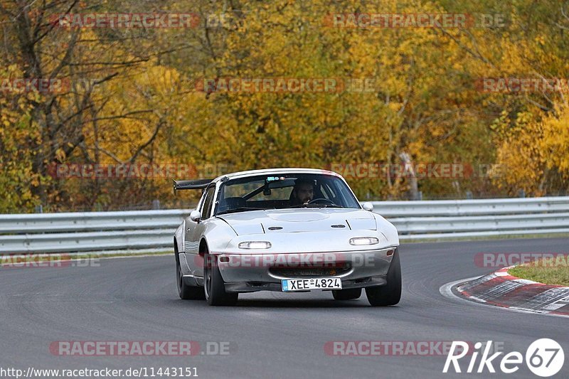 Bild #11443151 - Touristenfahrten Nürburgring Nordschleife (08.11.2020)