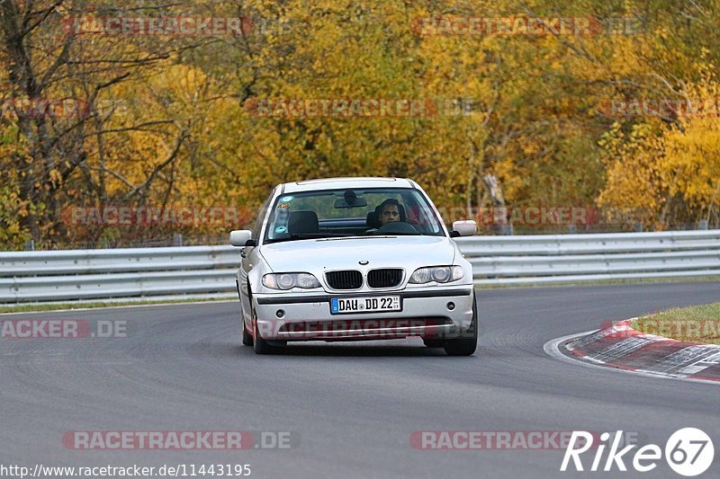 Bild #11443195 - Touristenfahrten Nürburgring Nordschleife (08.11.2020)