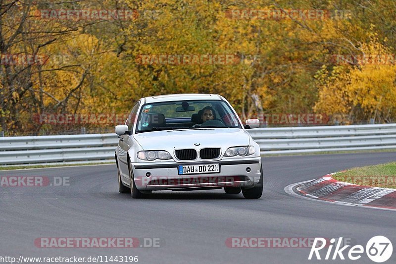 Bild #11443196 - Touristenfahrten Nürburgring Nordschleife (08.11.2020)