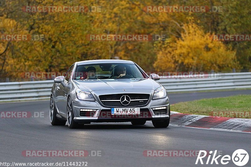 Bild #11443272 - Touristenfahrten Nürburgring Nordschleife (08.11.2020)