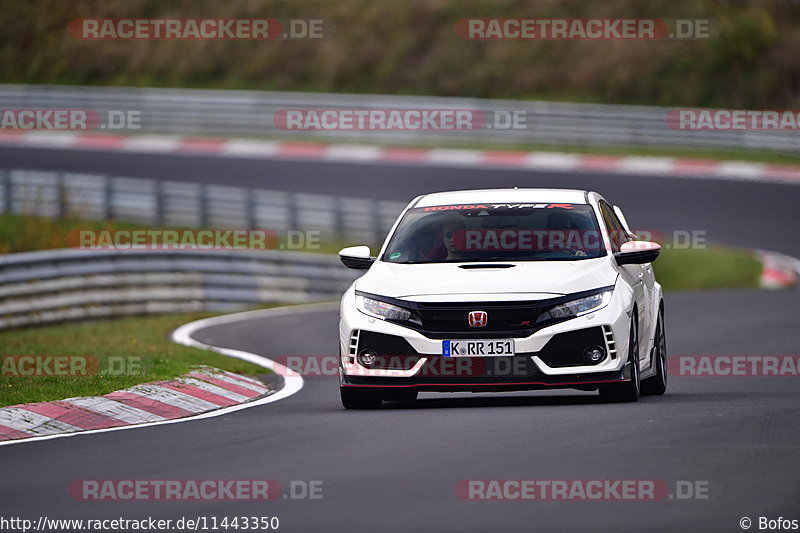 Bild #11443350 - Touristenfahrten Nürburgring Nordschleife (08.11.2020)