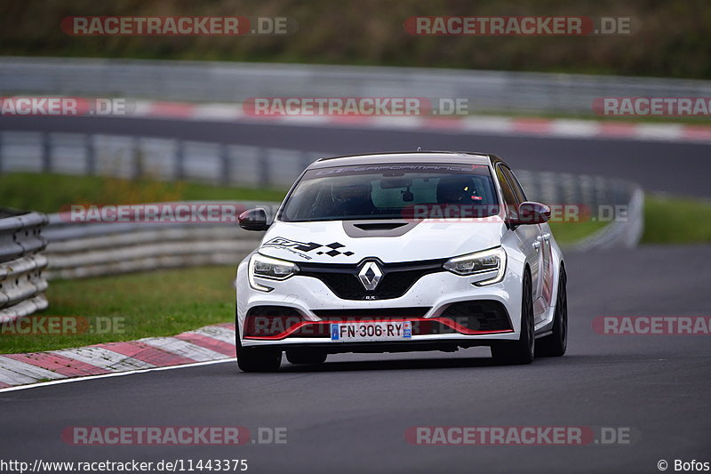 Bild #11443375 - Touristenfahrten Nürburgring Nordschleife (08.11.2020)