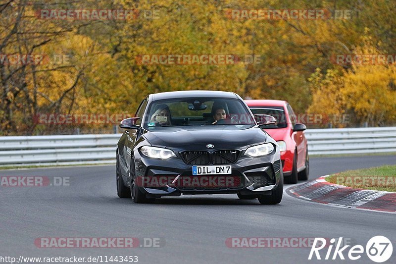 Bild #11443453 - Touristenfahrten Nürburgring Nordschleife (08.11.2020)