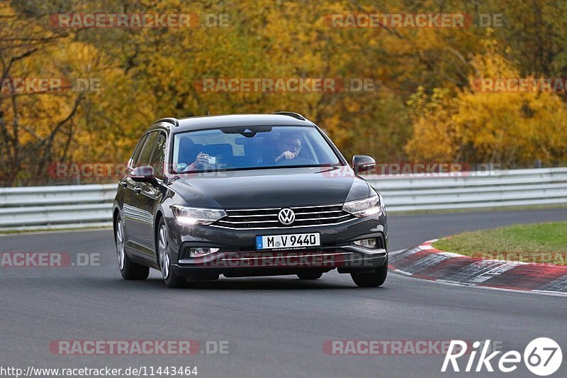 Bild #11443464 - Touristenfahrten Nürburgring Nordschleife (08.11.2020)