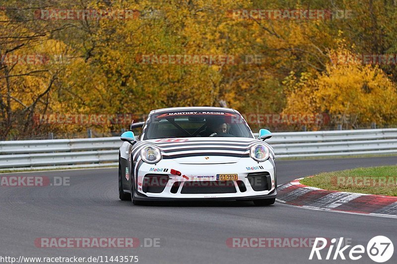 Bild #11443575 - Touristenfahrten Nürburgring Nordschleife (08.11.2020)