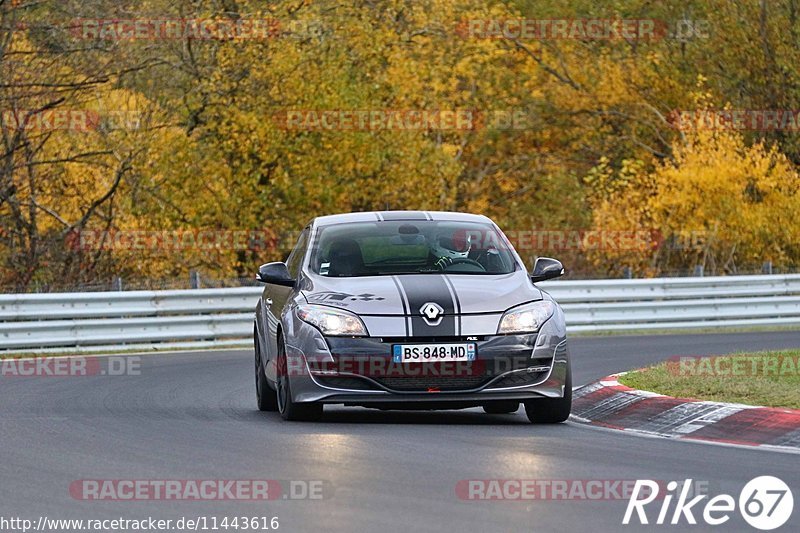 Bild #11443616 - Touristenfahrten Nürburgring Nordschleife (08.11.2020)