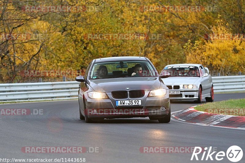 Bild #11443658 - Touristenfahrten Nürburgring Nordschleife (08.11.2020)