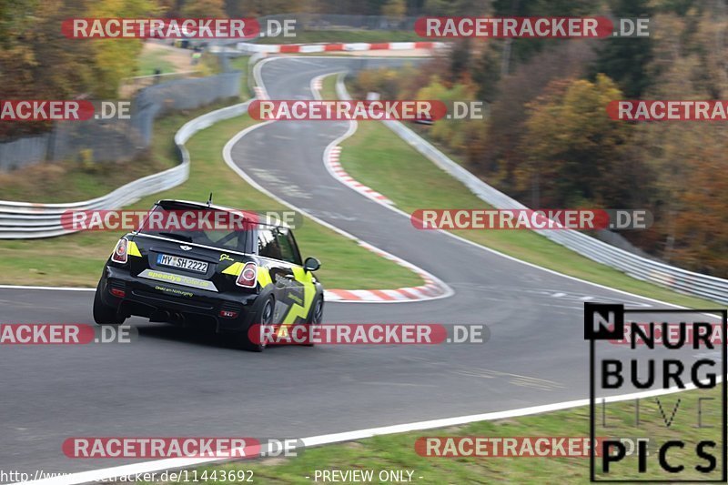 Bild #11443692 - Touristenfahrten Nürburgring Nordschleife (08.11.2020)