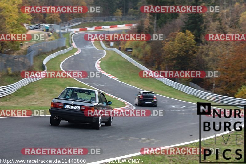 Bild #11443800 - Touristenfahrten Nürburgring Nordschleife (08.11.2020)