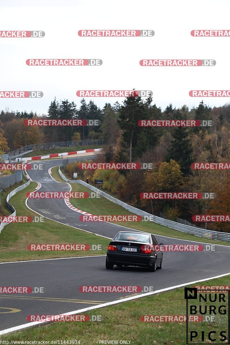 Bild #11443934 - Touristenfahrten Nürburgring Nordschleife (08.11.2020)