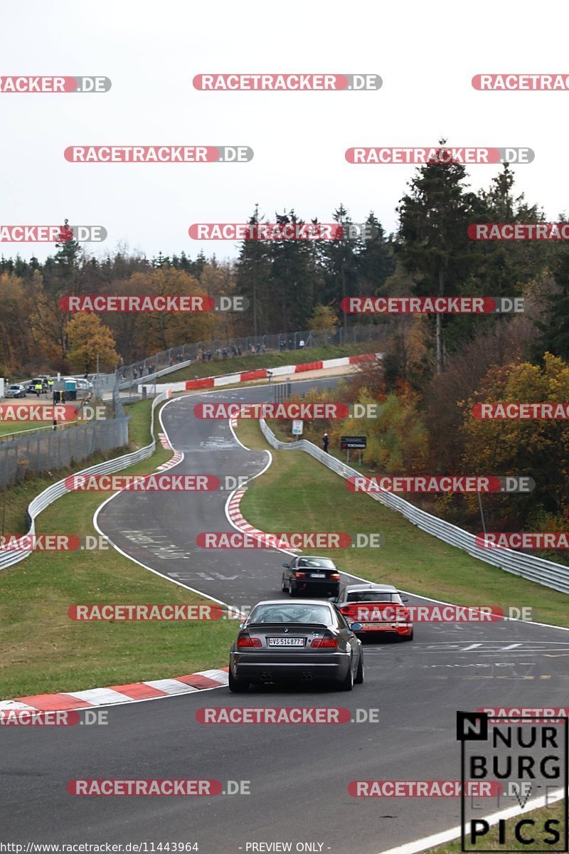 Bild #11443964 - Touristenfahrten Nürburgring Nordschleife (08.11.2020)