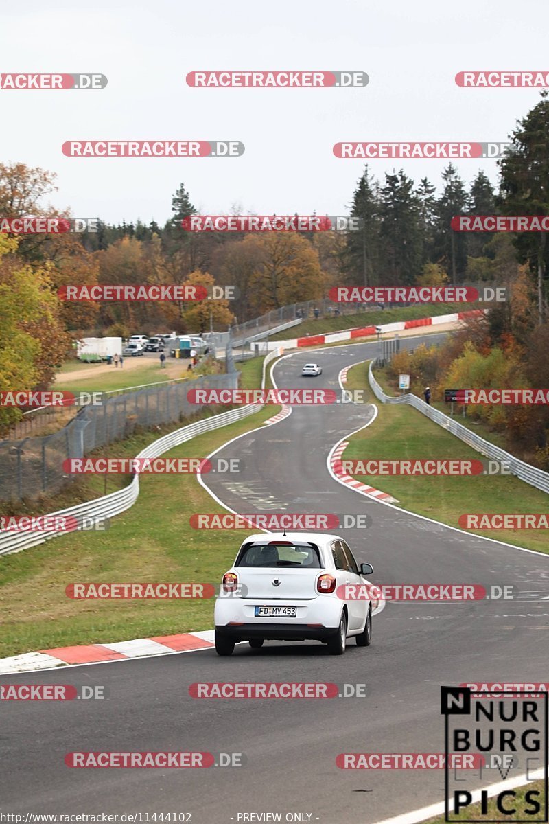 Bild #11444102 - Touristenfahrten Nürburgring Nordschleife (08.11.2020)