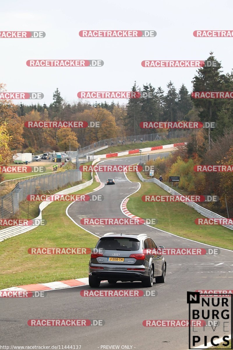 Bild #11444137 - Touristenfahrten Nürburgring Nordschleife (08.11.2020)