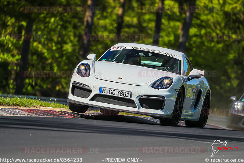 Bild #8564238 - SPORTFAHRERTRAINING NORDSCHLEIFE XL (18.05.2020)