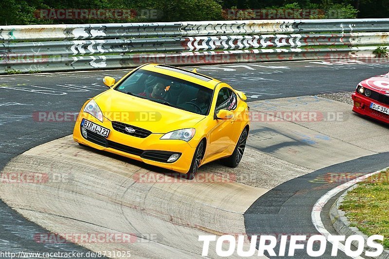 Bild #8731025 - Touristenfahrten Nürburgring Nordschleife (24.05.2020)