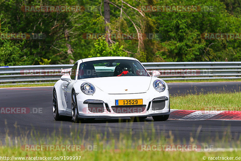 Bild #9199997 - Manthey-Racing Trackday (17.06.2020)