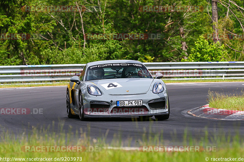 Bild #9203973 - Manthey-Racing Trackday (17.06.2020)