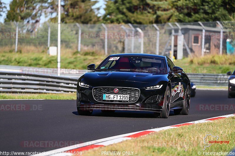 Bild #10601603 - SPORTFAHRERTRAINING NORDSCHLEIFE XL (07.09.2020)