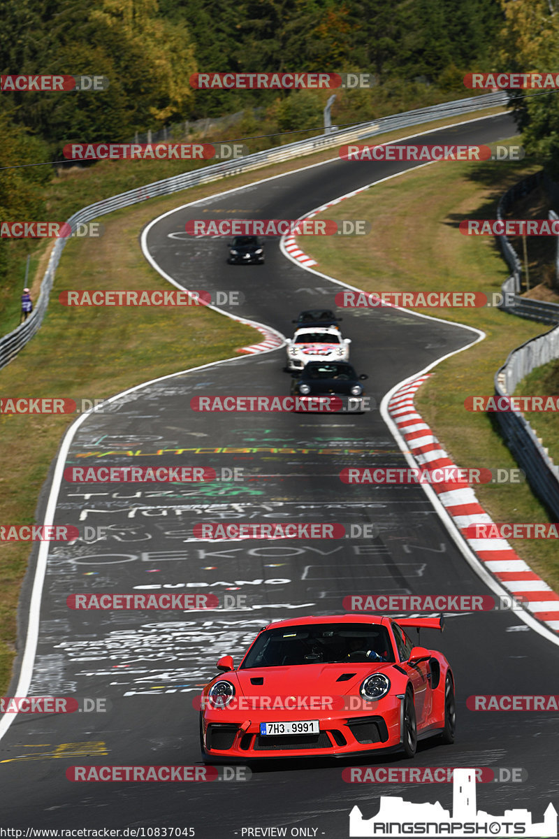 Bild #10837045 - Touristenfahrten Nürburgring Nordschleife (19.09.2020)