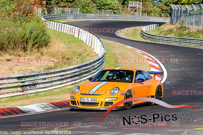 Bild #10839309 - Touristenfahrten Nürburgring Nordschleife (19.09.2020)