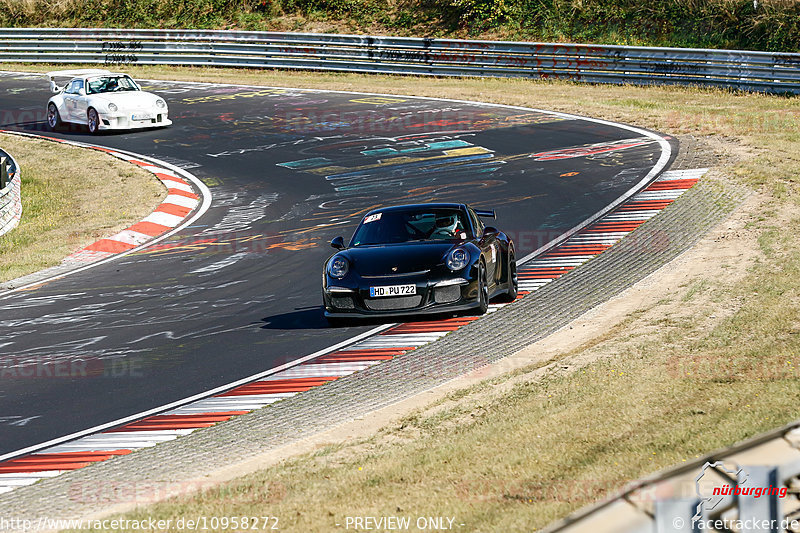 Bild #10958272 - SPORTFAHRERTRAINING NORDSCHLEIFE XL (21.09.2020)