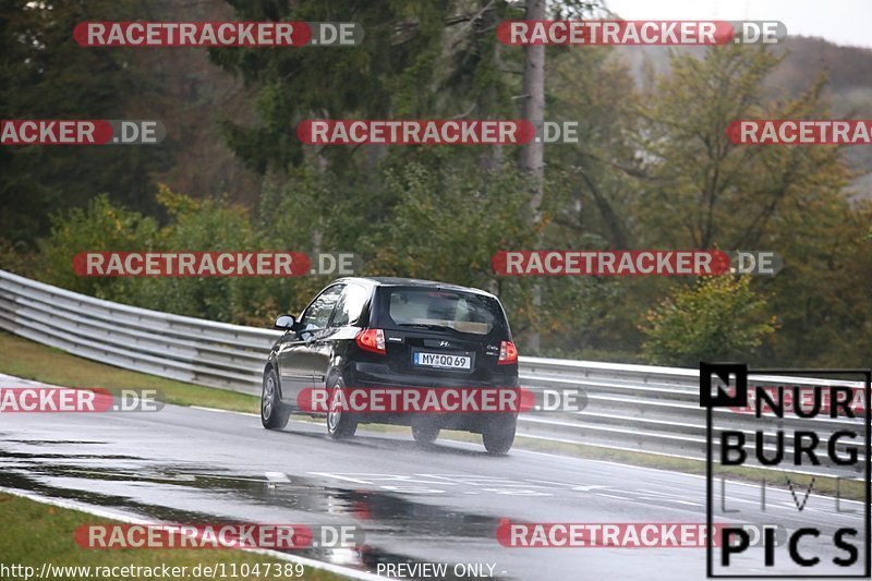 Bild #11047389 - Touristenfahrten Nürburgring Nordschleife (06.10.2020)