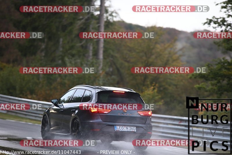 Bild #11047443 - Touristenfahrten Nürburgring Nordschleife (06.10.2020)