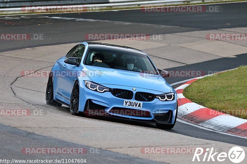 Bild #11047604 - Touristenfahrten Nürburgring Nordschleife (06.10.2020)