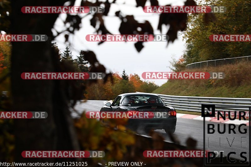 Bild #11251025 - Touristenfahrten Nürburgring Nordschleife + GP-Strecke (23.10.2020)