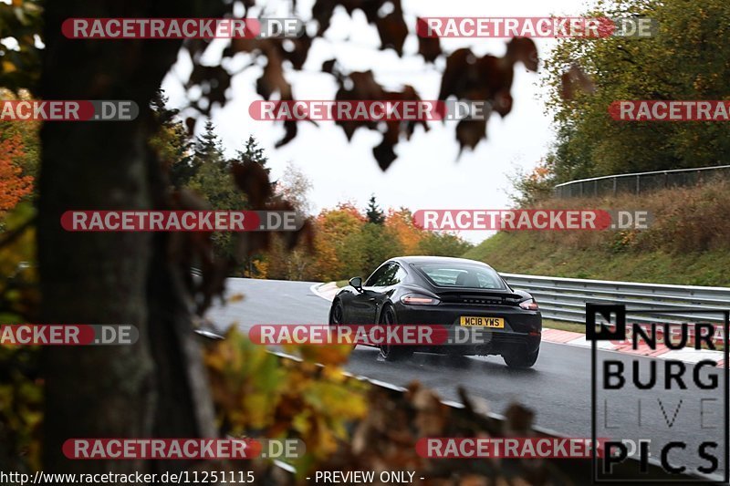 Bild #11251115 - Touristenfahrten Nürburgring Nordschleife + GP-Strecke (23.10.2020)