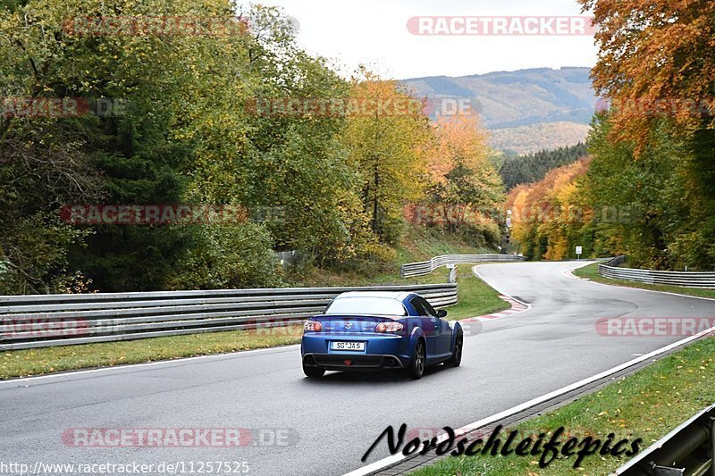 Bild #11257525 - Touristenfahrten Nürburgring Nordschleife + GP Strecke (24.10.2020)