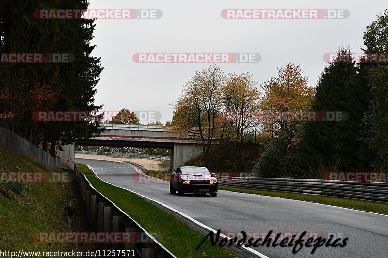 Bild #11257571 - Touristenfahrten Nürburgring Nordschleife + GP Strecke (24.10.2020)